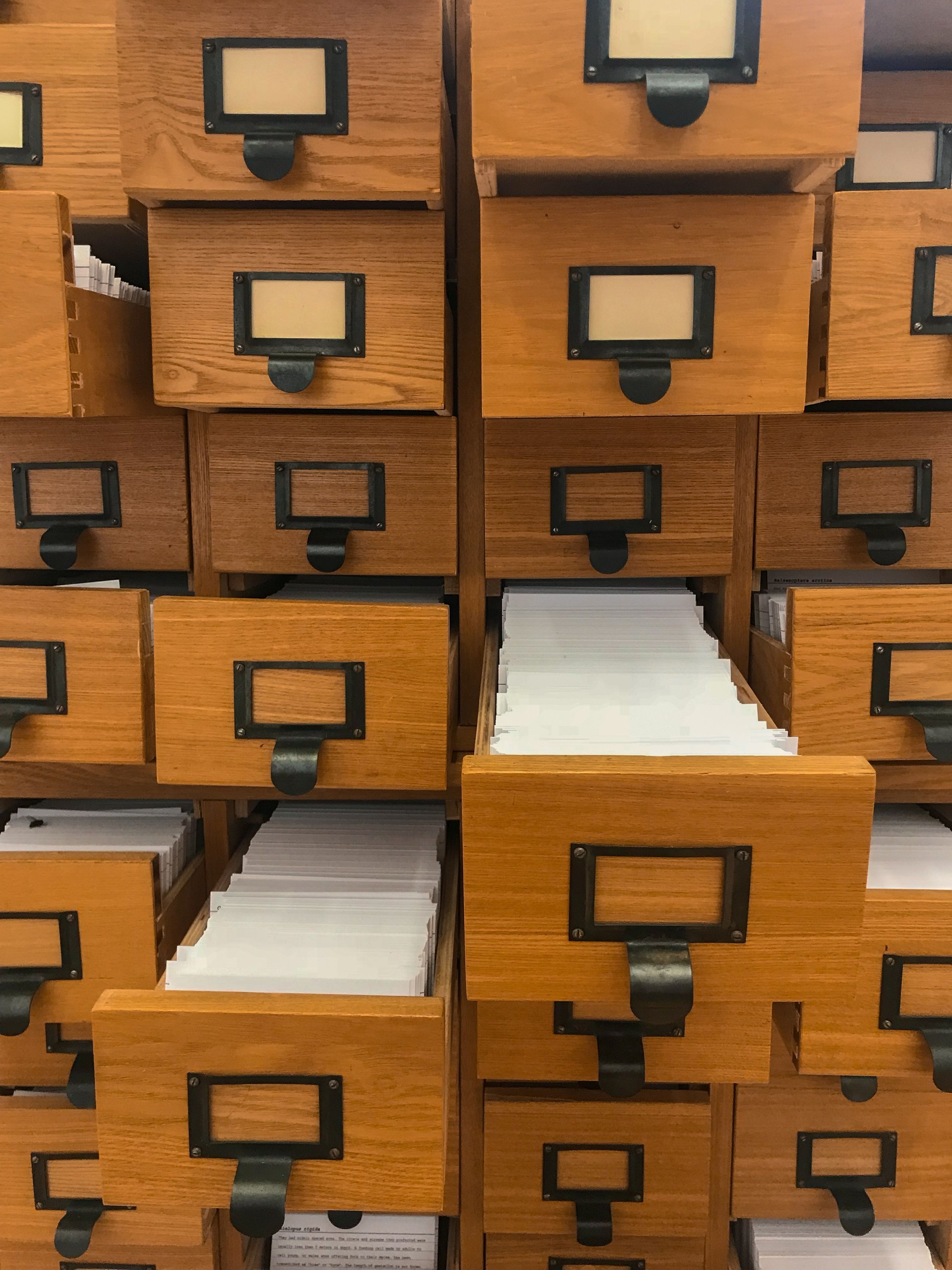 Vintage library index card catalog